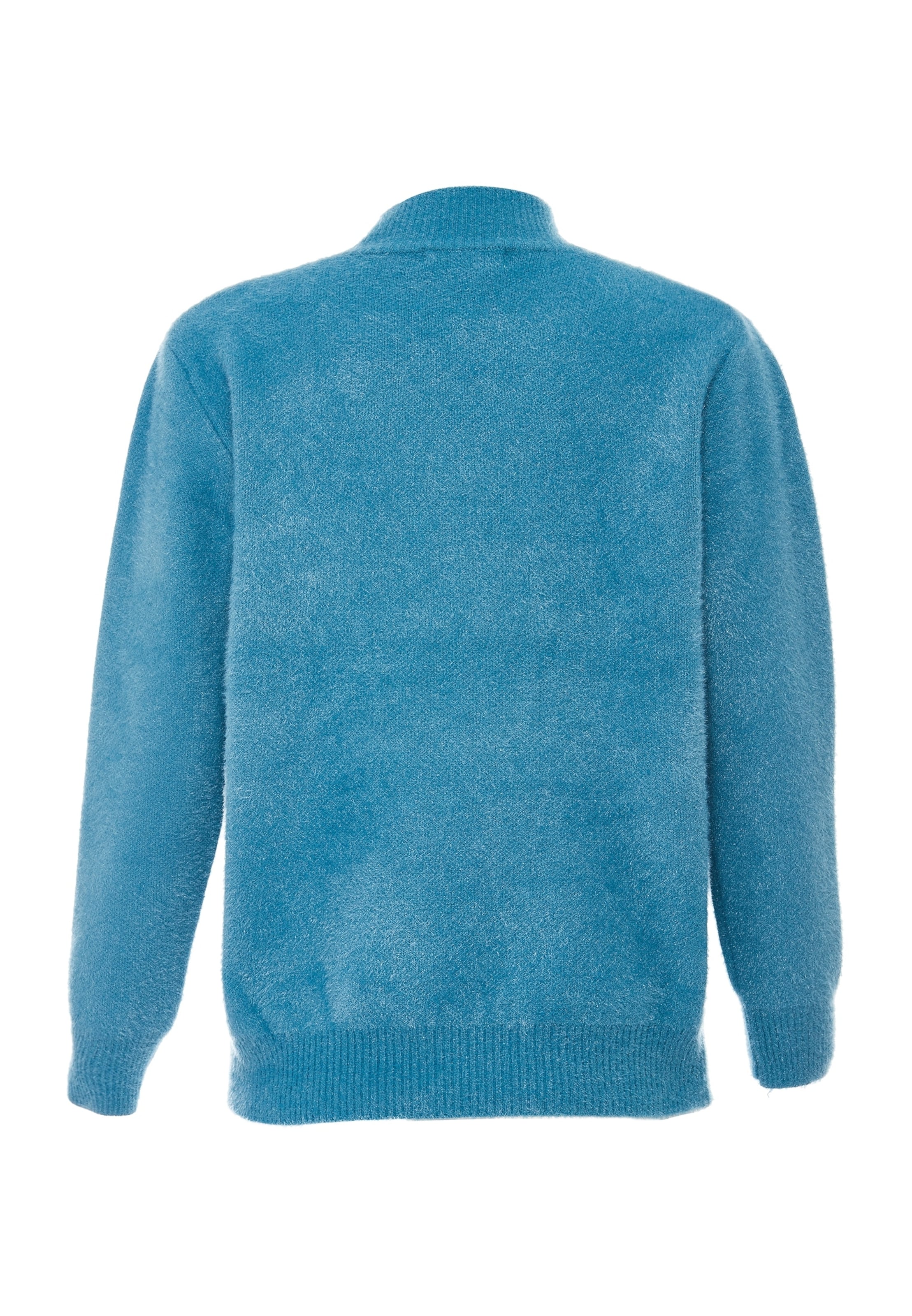 Poomi Pullover in Blau