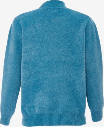 Poomi Pullover in Blau