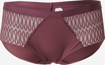 TRIUMPH Дамски бикини 'Aura Spotlight' в лилав: отпред