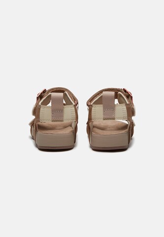 TIMBERLAND Sandal 'Backstrap Sandal' in Blue
