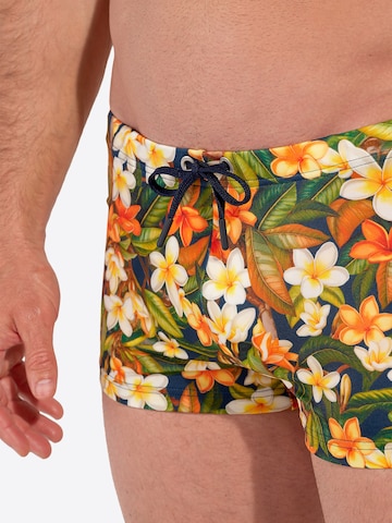 HOM Badeshorts ' Swim Shorts Etna ' in Grün