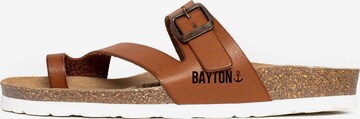 Bayton Mules 'Biscaye' in Brown: front