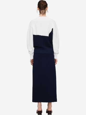 Adolfo Dominguez Rok in Blauw