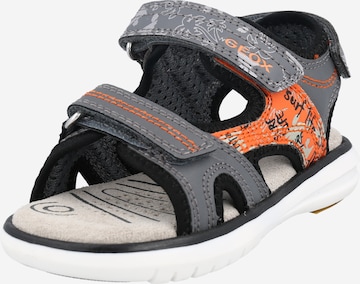 GEOX Sandals & Slippers 'Maratea' in Grey: front