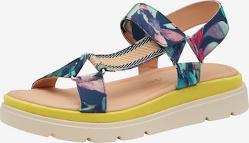 Tamaris Wandelsandalen in Blauw: voorkant