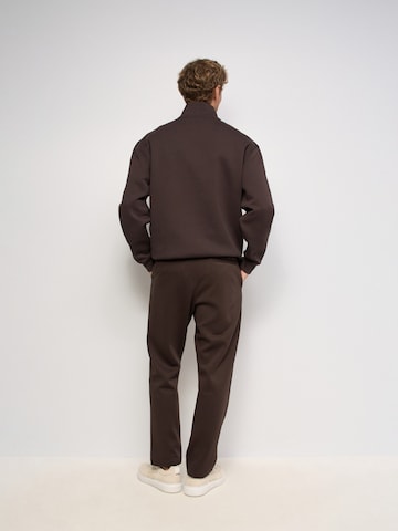 Salsa Jeans Regular Hose in Braun