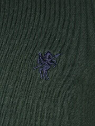 DENIM CULTURE Sweatshirt 'ALCINOO' in Green