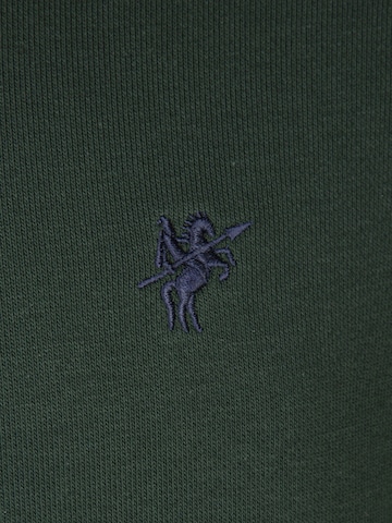 DENIM CULTURE - Sudadera 'ALCINOO' en verde