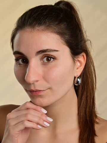 Akzent Earrings 'langlebig' in Silver: front