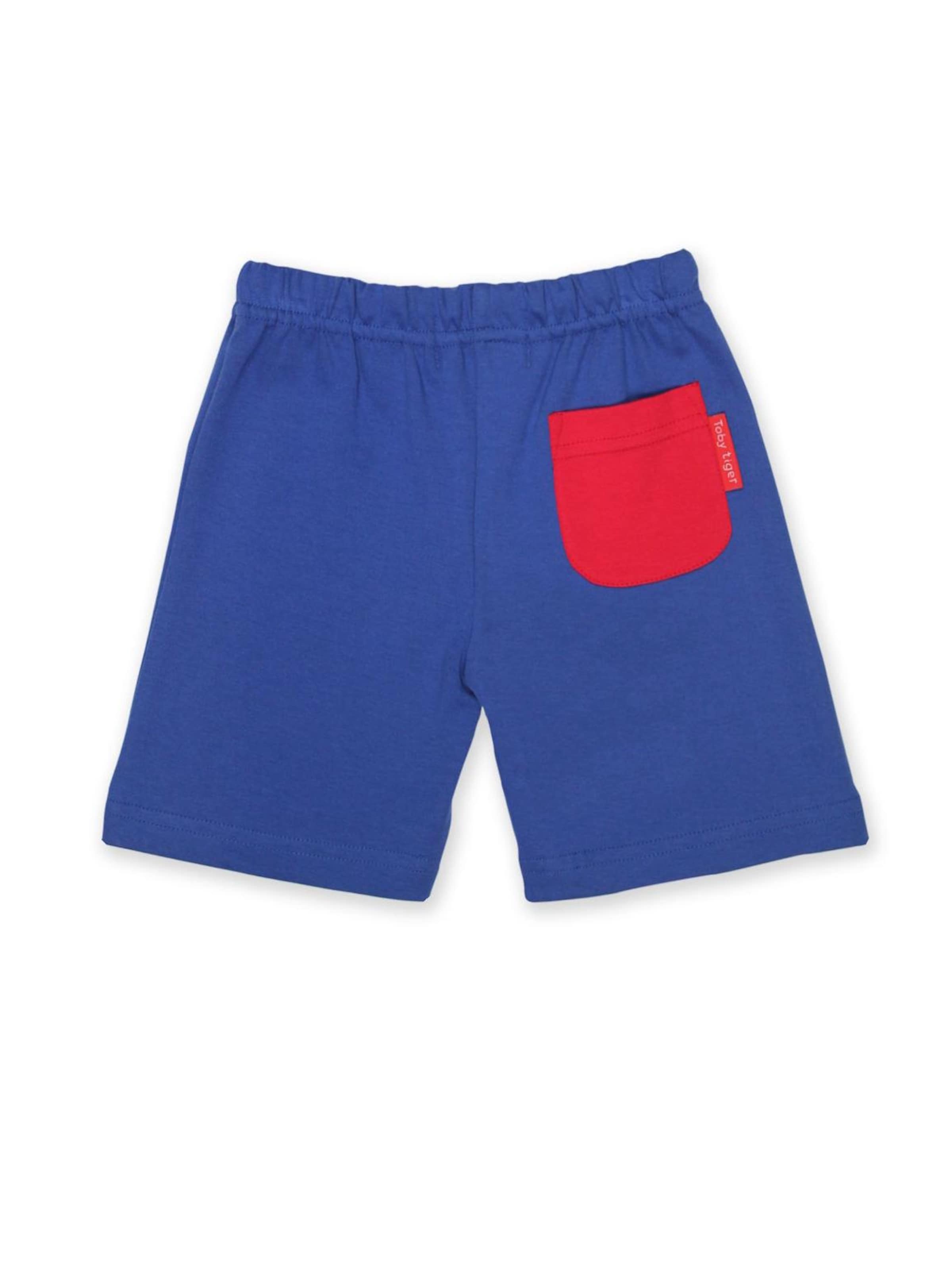 Toby Tiger Regular Pants in Blue