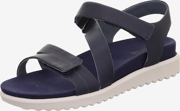 Legero Strap Sandals in Blue: front