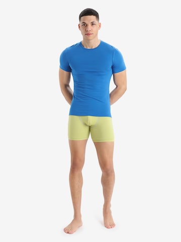 ICEBREAKER Sports underpants 'Anatomica' in Yellow