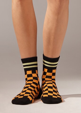 CALZEDONIA Socks in Black: front