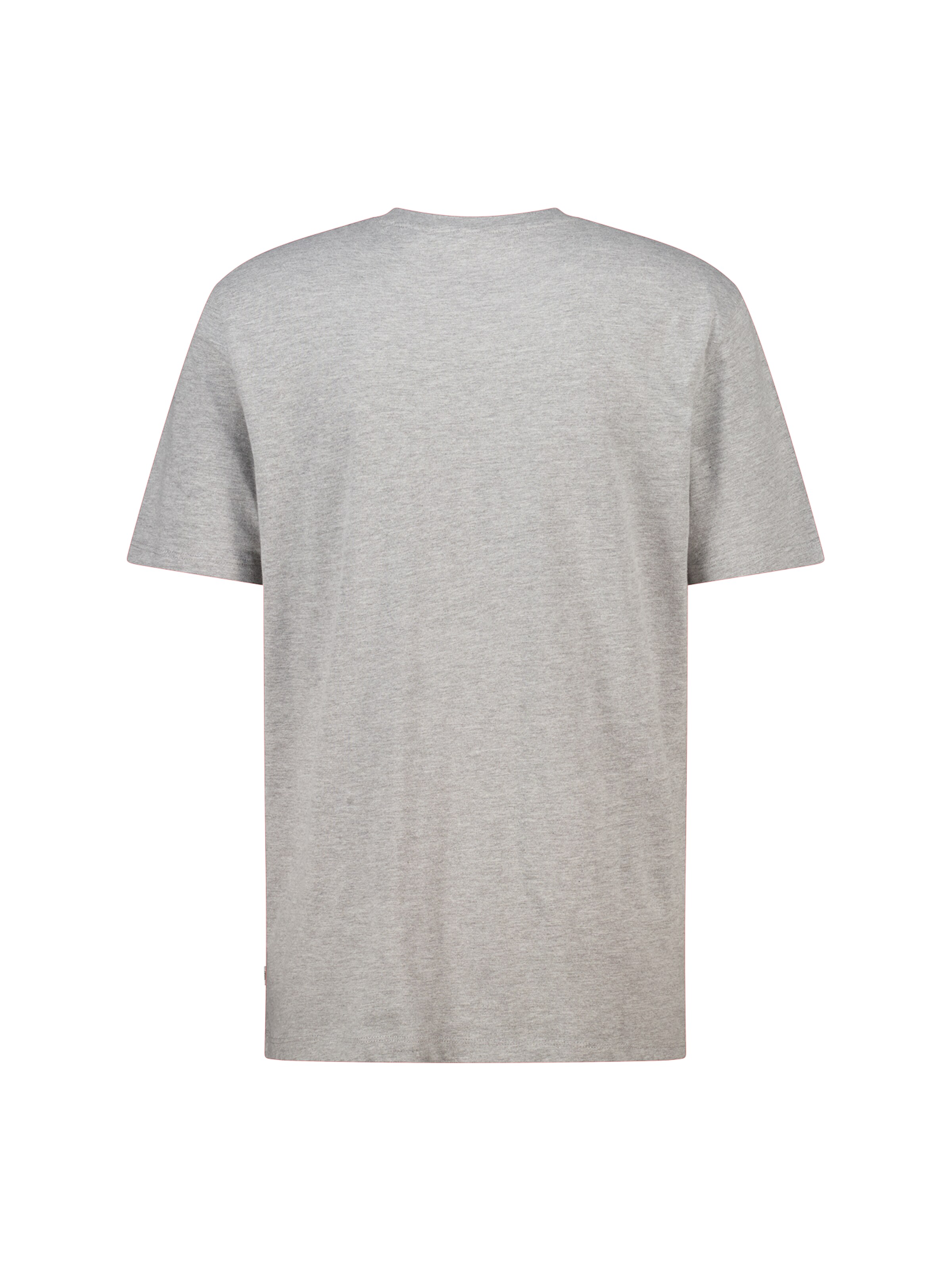 America Today Shirt in Grey