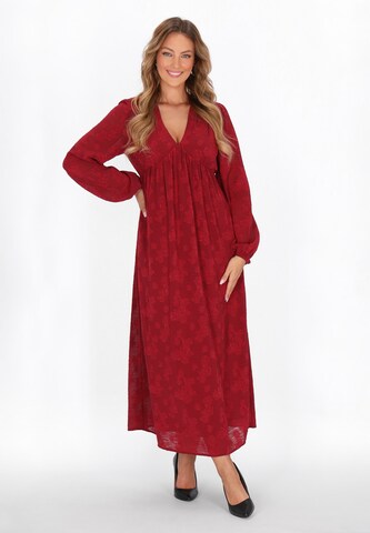 faina Dress in Red