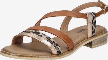 Nero Giardini Sandalen met riem in Bruin: voorkant