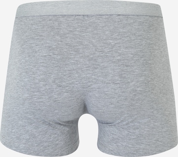 ABOUT YOU Boxershorts 'Marc' in Grau