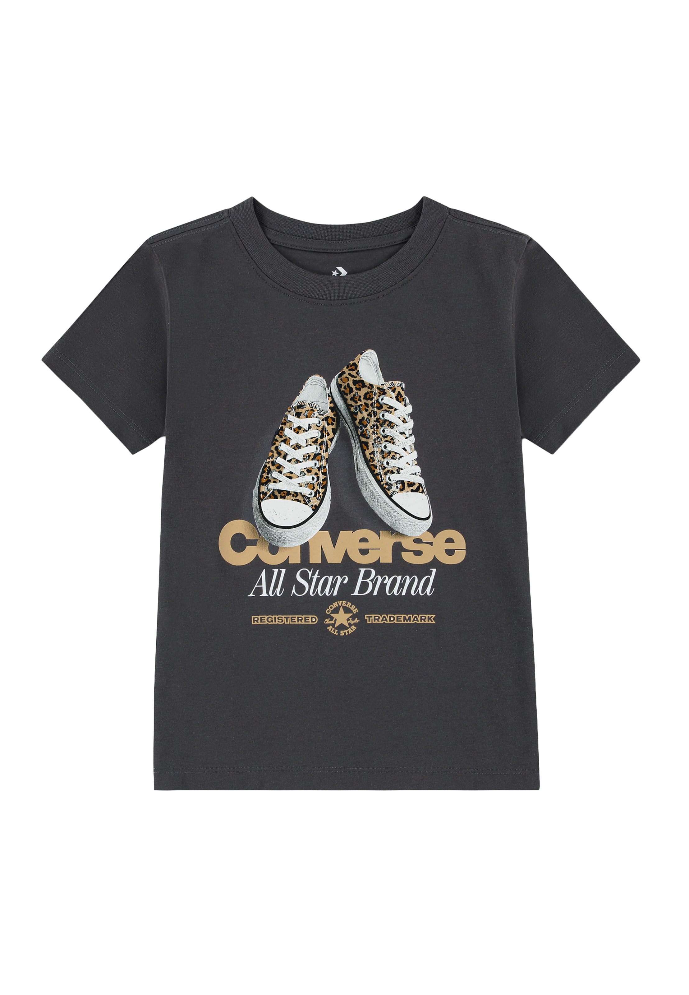 CONVERSE - Camiseta 'SNEAKER' en gris: frente