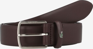 Ceinture LACOSTE en marron : devant