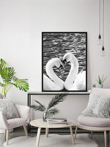 Liv Corday Image 'Courting Whooper Swans' in Black
