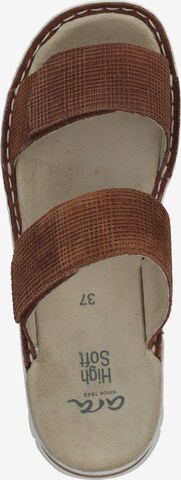 Mule ARA en marron