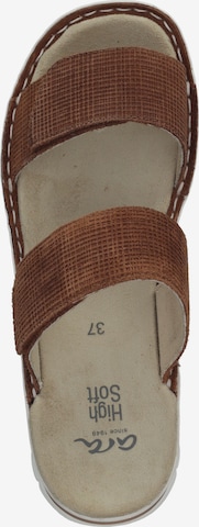 ARA Pantolette in Braun