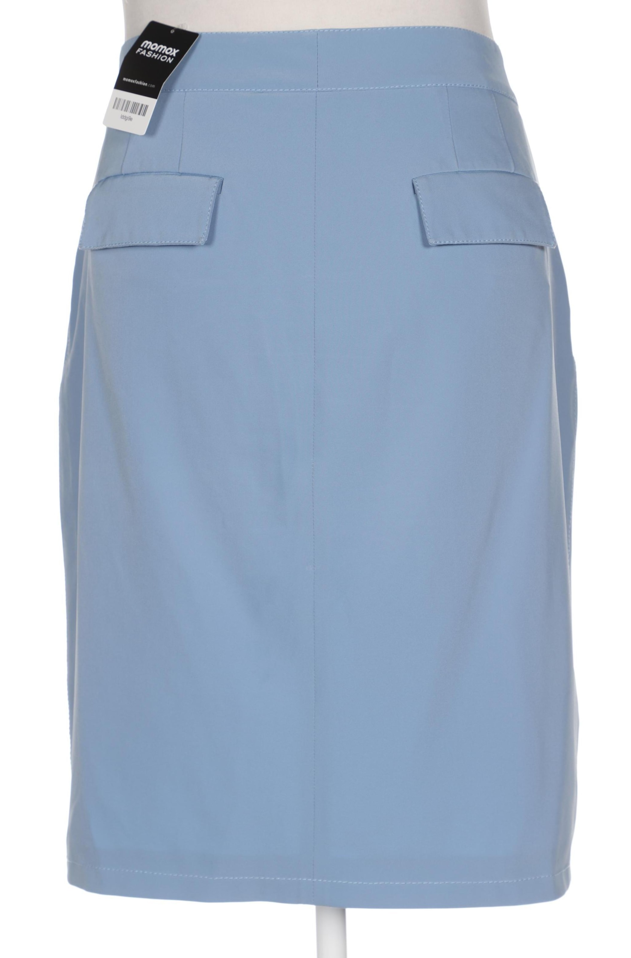 Orwell Skirt in XL in Blue