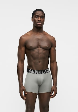 Calvin Klein Underwear regular Boksershorts 'Intense Power' i grå: forside