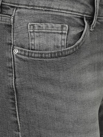 Only Petite Regular Jeans 'ONLJUDY' in Grijs