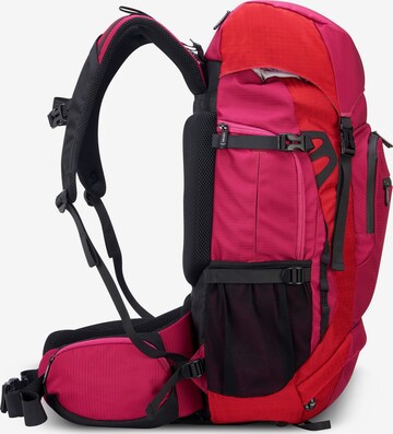 Delsey Paris Backpack in Pink