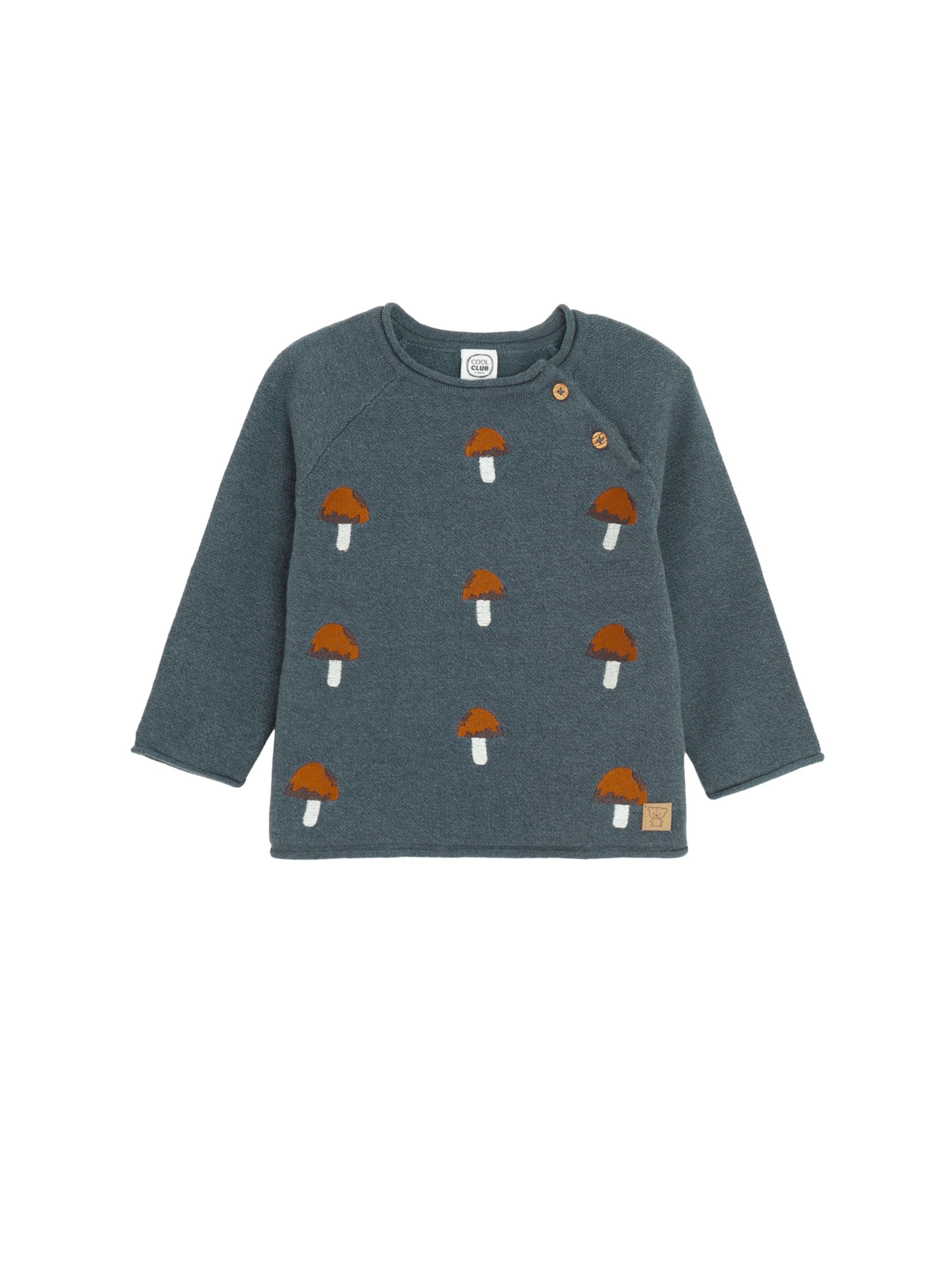 Pull-over Cool Club en bleu : devant