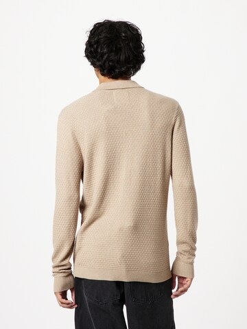 HOLLISTER Sweater 'SWOLO' in Brown