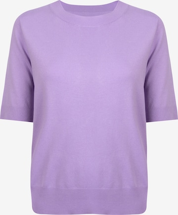 LIEBLINGSSTÜCK Sweater 'Kyrene' in Purple: front
