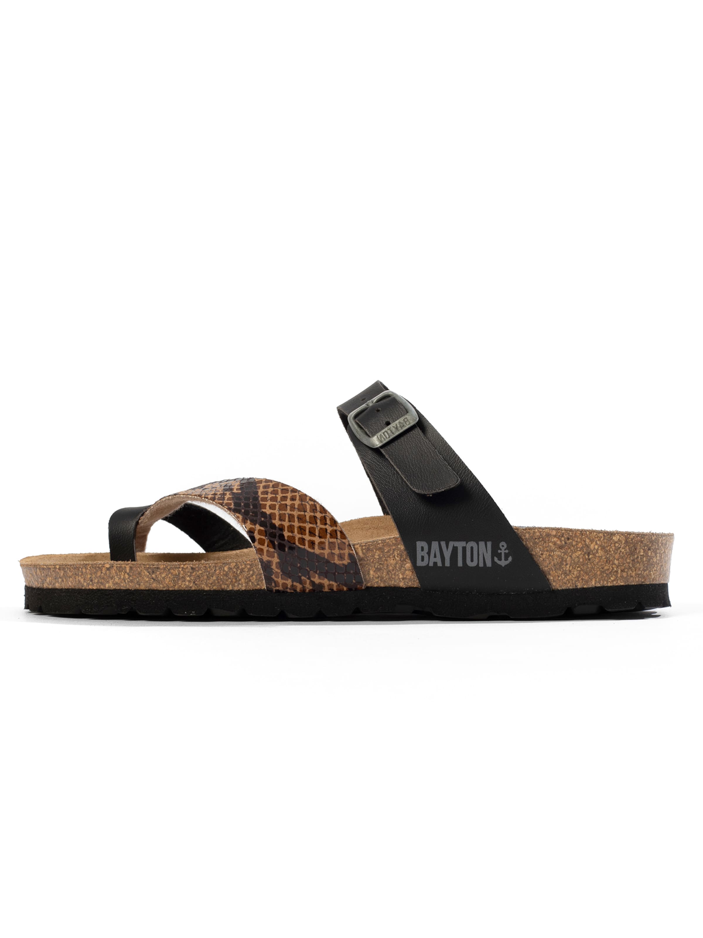 Bayton Plätu 'Diane', värv pruun: eest vaates