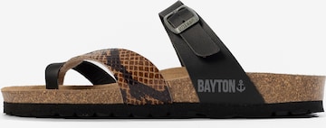 Bayton Nizki natikači 'Diane' | rjava barva: sprednja stran