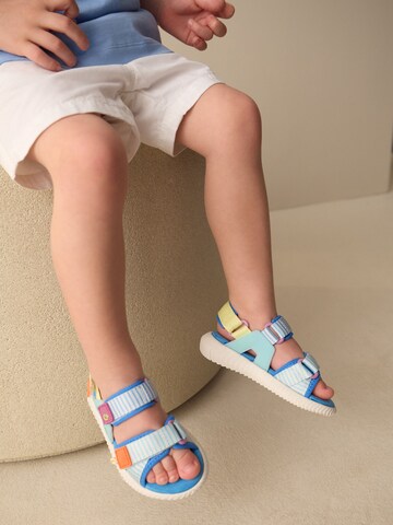 Calzatura aperta 'Utility' di Next in blu