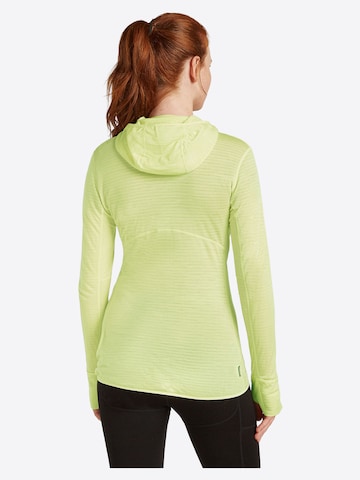 ICEBREAKER Tussenjas 'W Mer 200 Realfleece Descender LS Zip H' in Groen