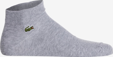 Lacoste Sport Sportsocken in Grau