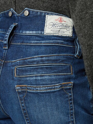 Herrlicher Regular Jeans 'Pitch' i blå