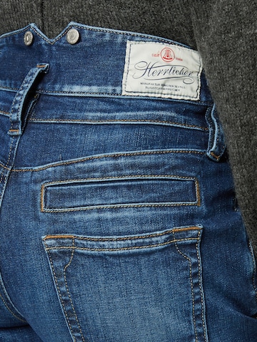 Herrlicher Regular Jeans 'Pitch' in Blau