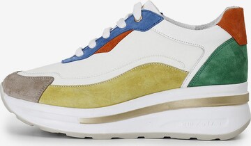 Sneaker bassa di CAFè NOIR in colori misti: frontale