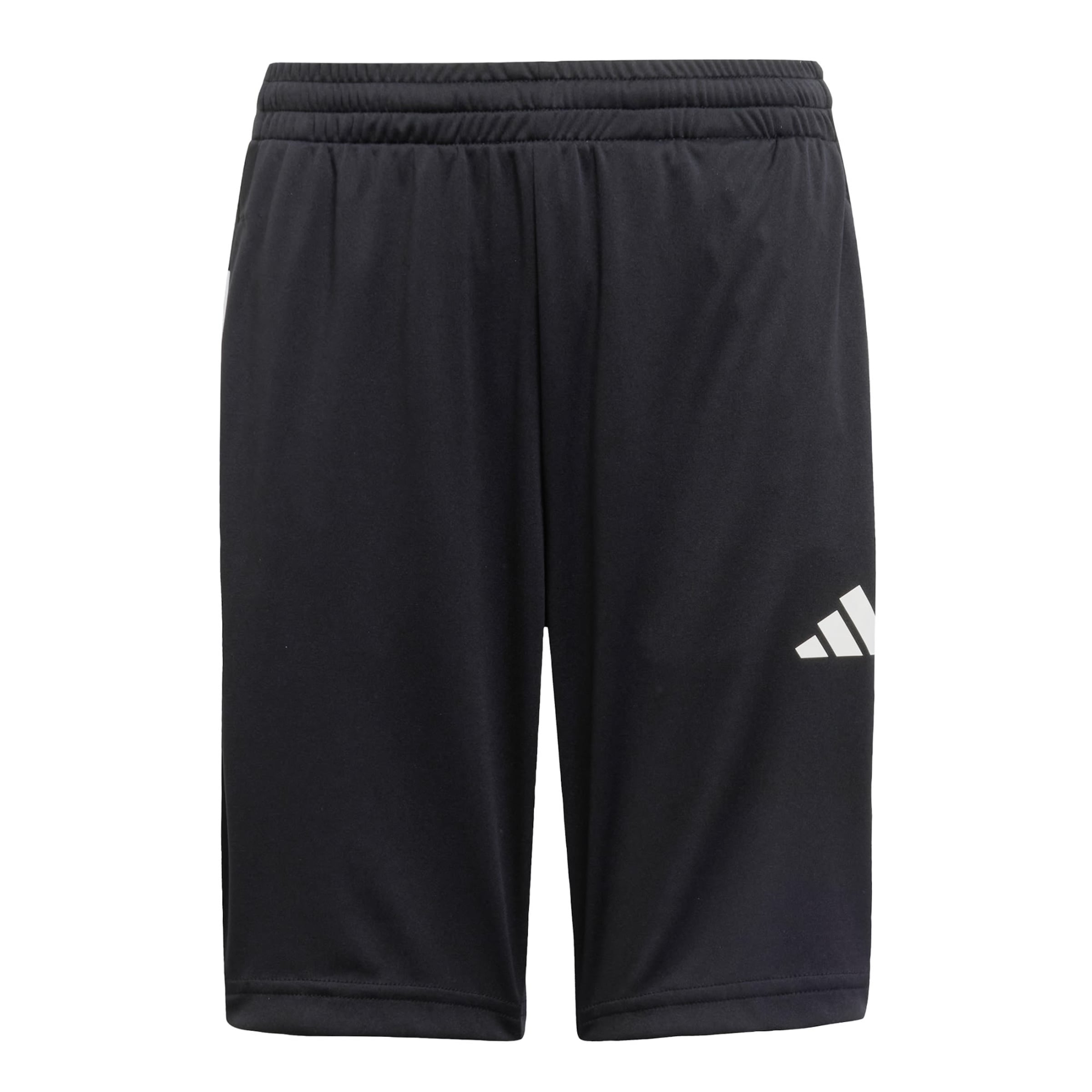 Regular Pantaloni sport 'Essentials' de la ADIDAS SPORTSWEAR pe negru: față