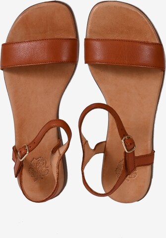 Apple of Eden Strap Sandals 'ISA' in Brown