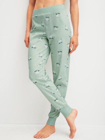 Pantaloncini da pigiama 'Favourites Cats' di CALIDA in verde