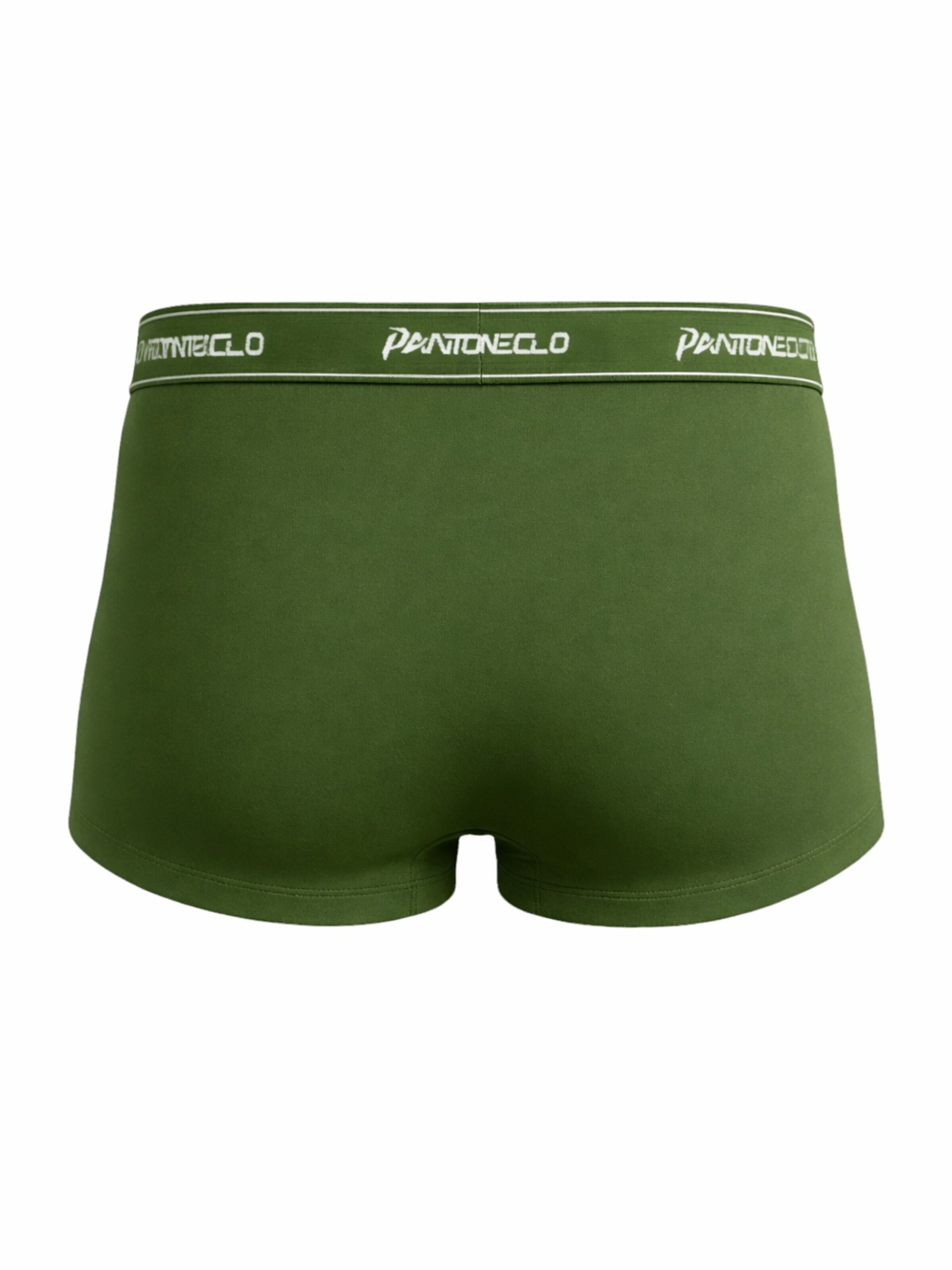 PANTONECLO Boxer shorts 'Pantoneclo Men’s Boxer Underwear' in Green