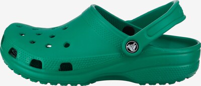 Crocs Clogs in grün, Produktansicht