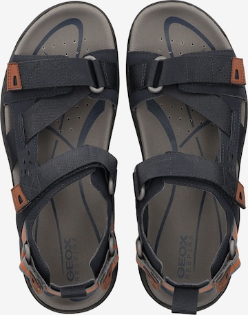 GEOX Sandals in Blue