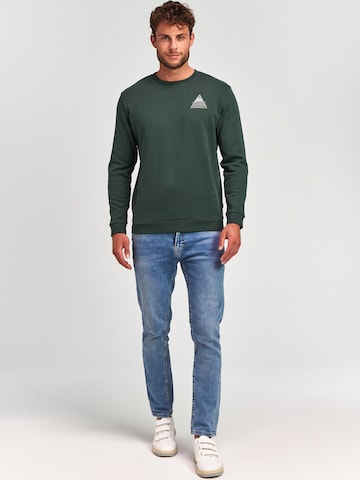 Shiwi Sweatshirt in Grün