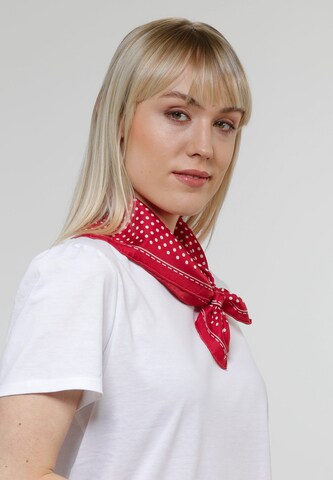 FRAAS Wrap in Red