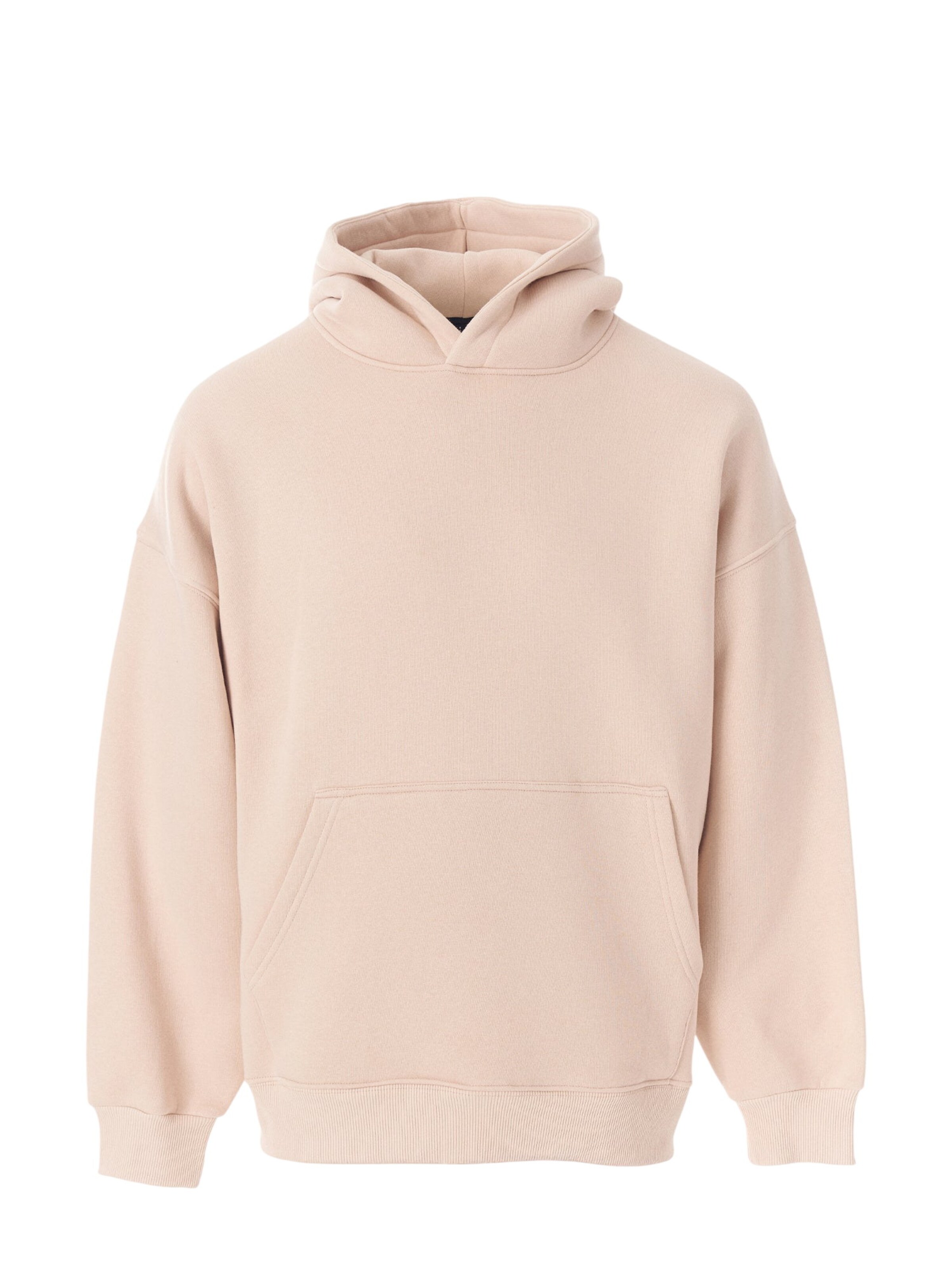 MARTIN VALEN Sweatshirt in Beige: voorkant